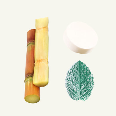 sugarcane mint wintergreen