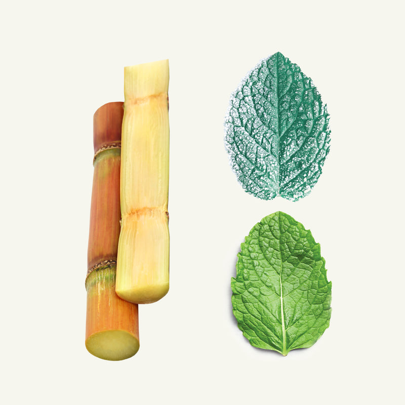 SIMPLY MINTS- MINT LOVERS ASSORTMENT